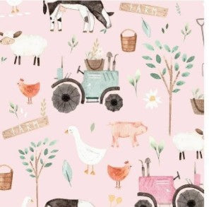 Friendly Farm 4T Pants Set